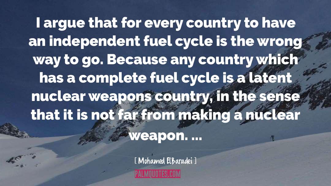 Mohamed ElBaradei Quotes: I argue that for every