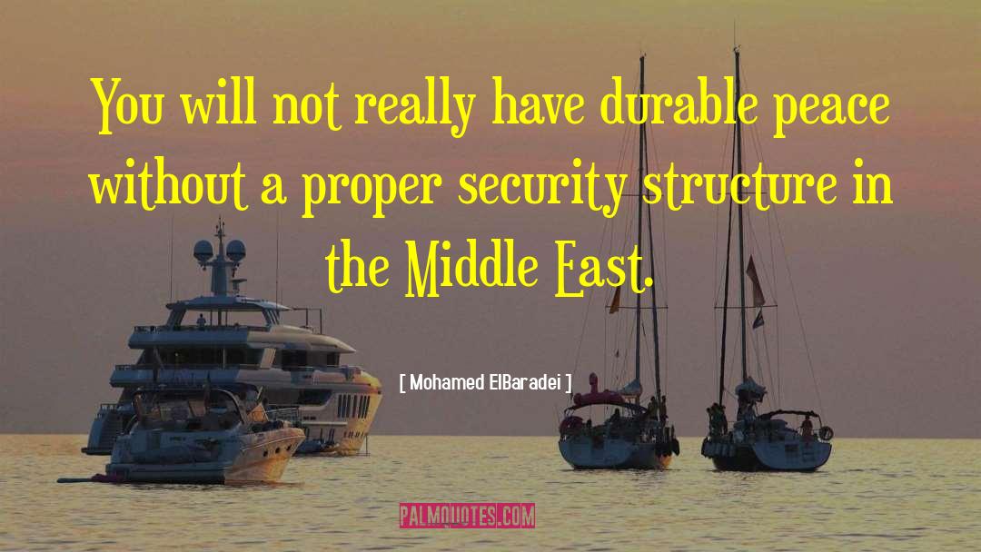 Mohamed ElBaradei Quotes: You will not really have