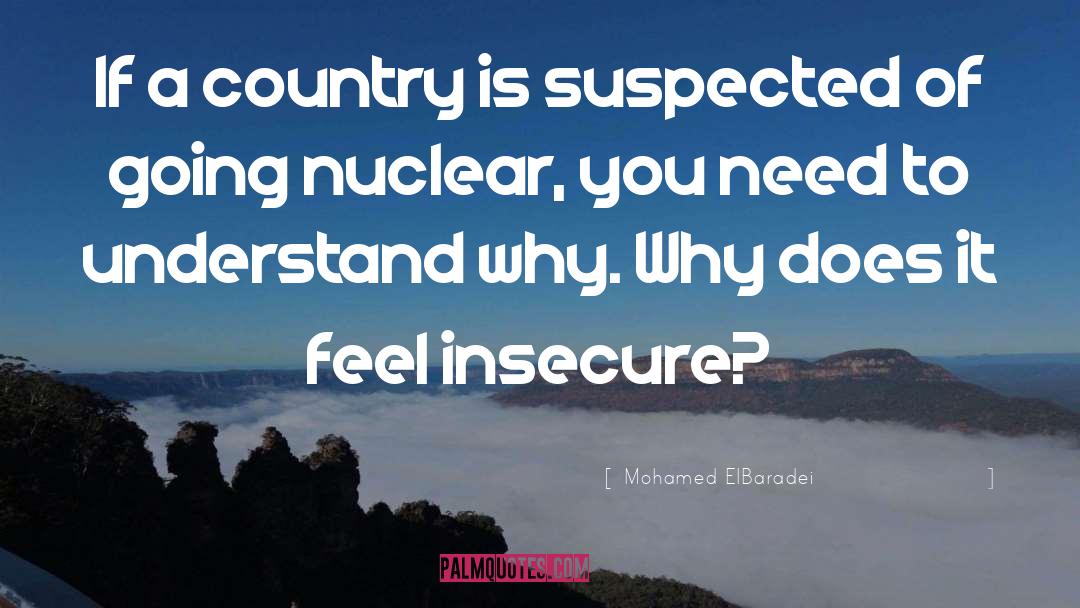 Mohamed ElBaradei Quotes: If a country is suspected