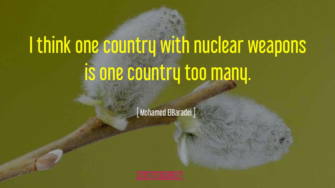 Mohamed ElBaradei Quotes: I think one country with