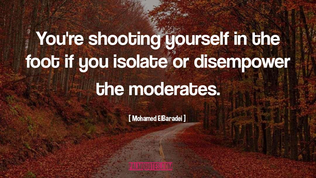 Mohamed ElBaradei Quotes: You're shooting yourself in the