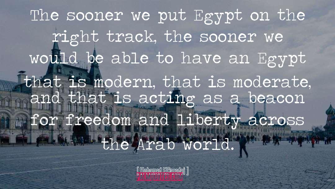 Mohamed ElBaradei Quotes: The sooner we put Egypt