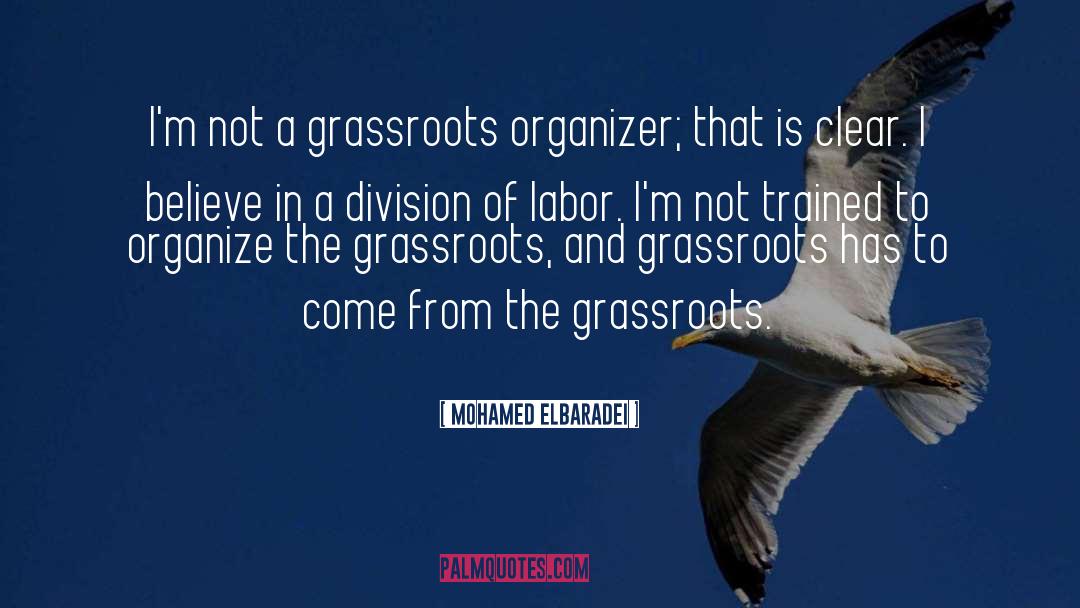 Mohamed ElBaradei Quotes: I'm not a grassroots organizer;