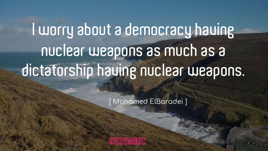 Mohamed ElBaradei Quotes: I worry about a democracy