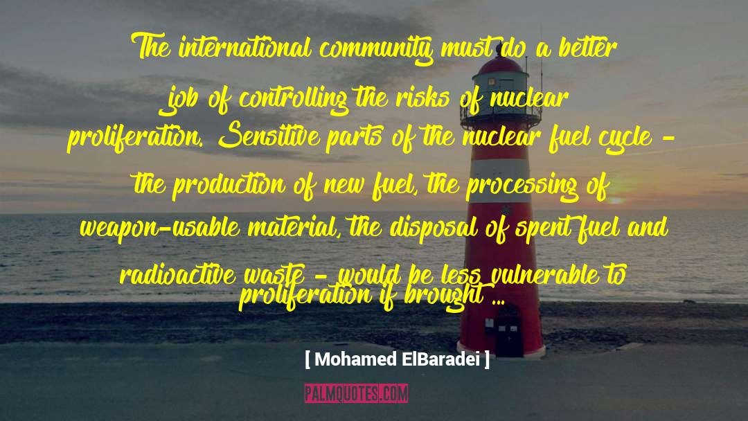 Mohamed ElBaradei Quotes: The international community must do