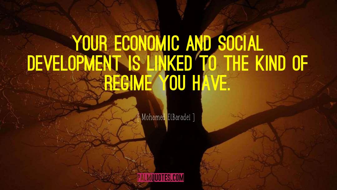 Mohamed ElBaradei Quotes: Your economic and social development