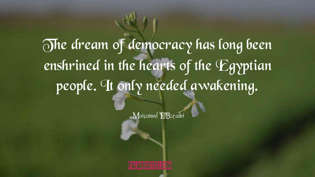 Mohamed ElBaradei Quotes: The dream of democracy has