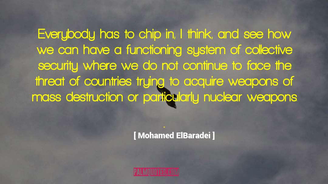 Mohamed ElBaradei Quotes: Everybody has to chip in,