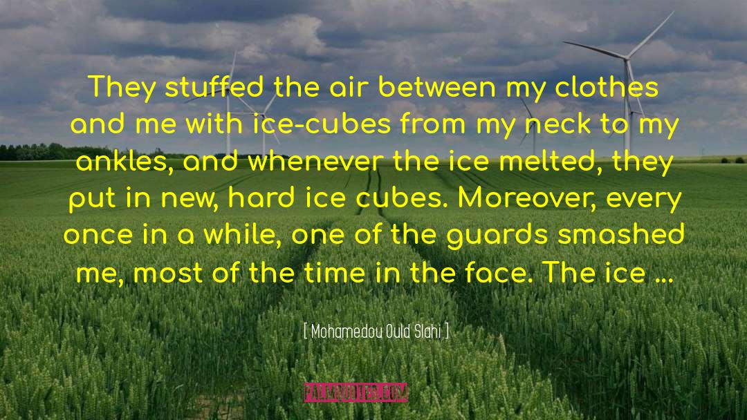 Mohamedou Ould Slahi Quotes: They stuffed the air between