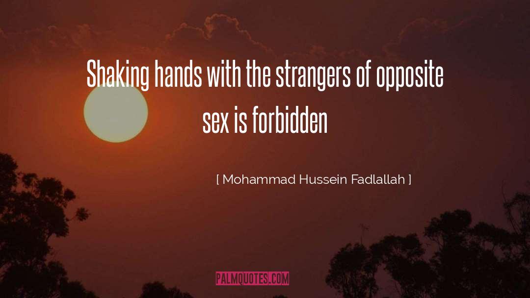 Mohammad Hussein Fadlallah Quotes: Shaking hands with the strangers