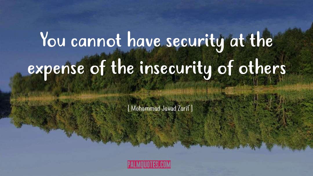Mohammad Javad Zarif Quotes: You cannot have security at