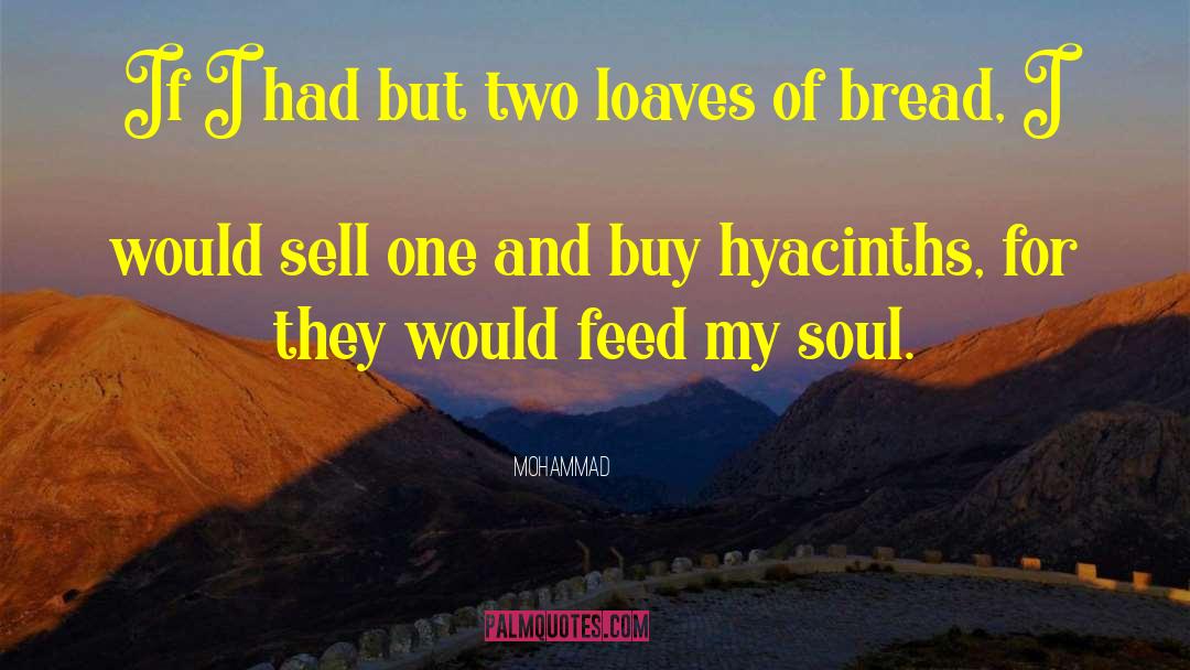 Mohammad Quotes: If I had but two