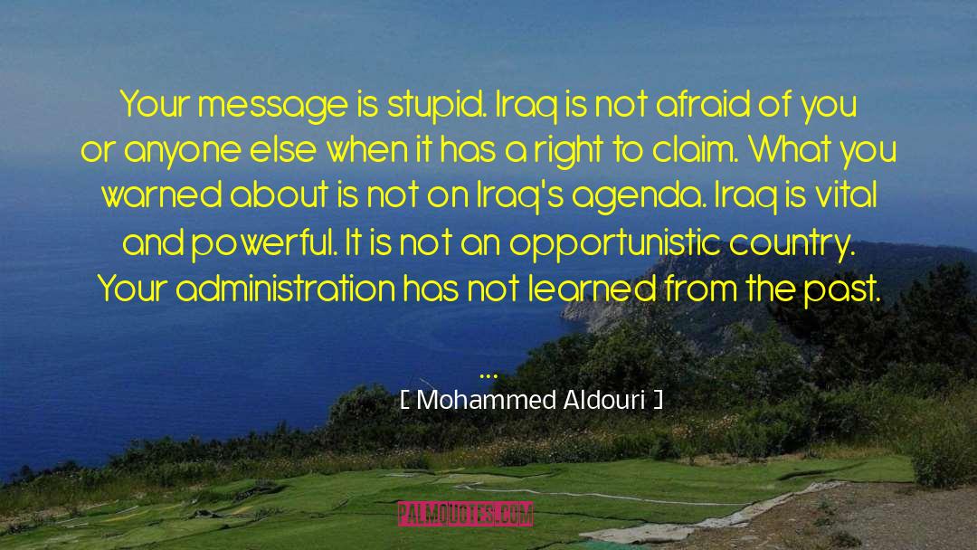 Mohammed Aldouri Quotes: Your message is stupid. Iraq