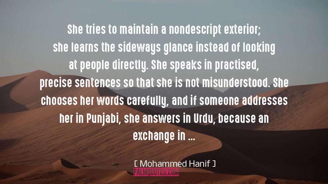 Mohammed Hanif Quotes: She tries to maintain a
