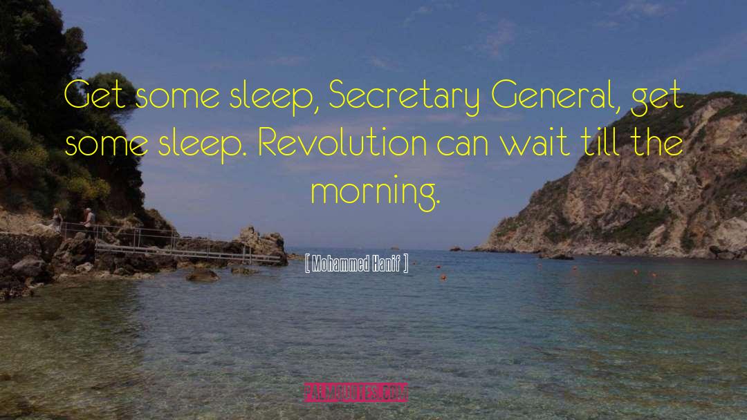 Mohammed Hanif Quotes: Get some sleep, Secretary General,