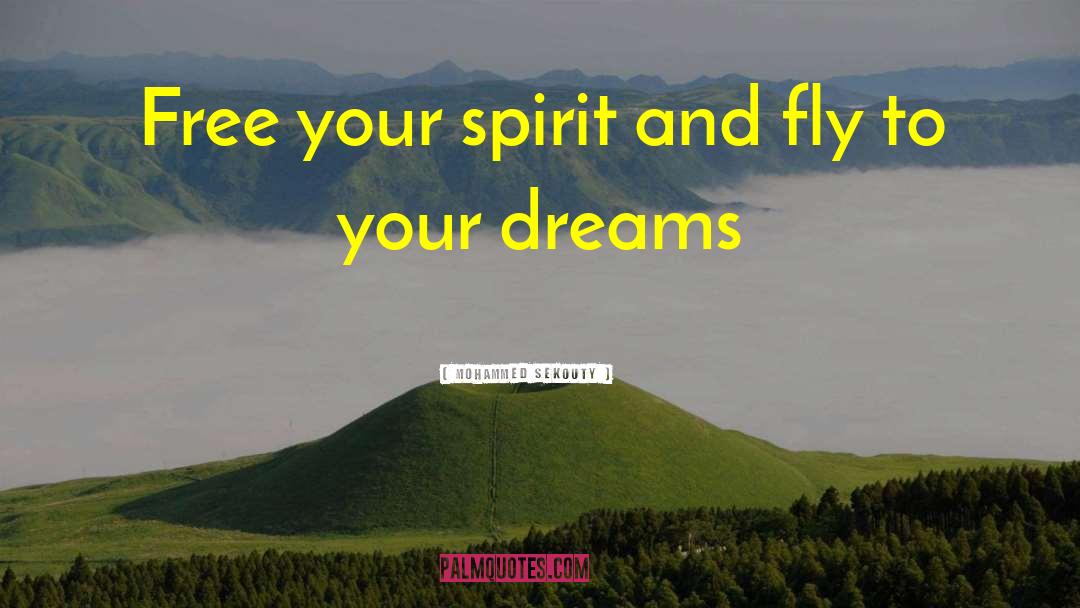 Mohammed Sekouty Quotes: Free your spirit and fly