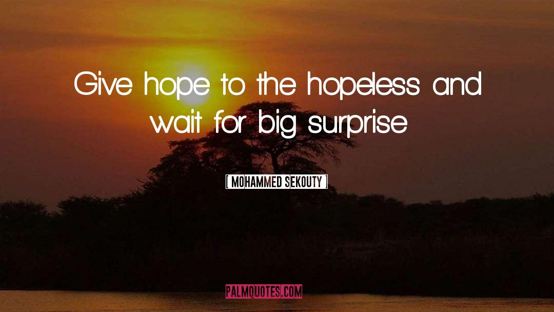 Mohammed Sekouty Quotes: Give hope to the hopeless