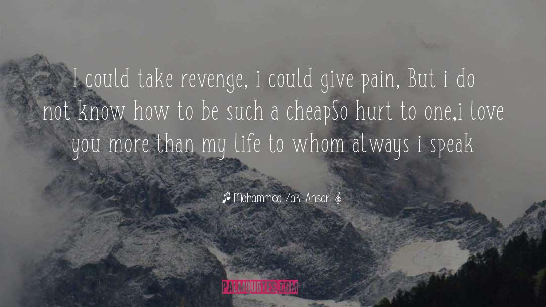 Mohammed Zaki Ansari Quotes: I could take revenge, i