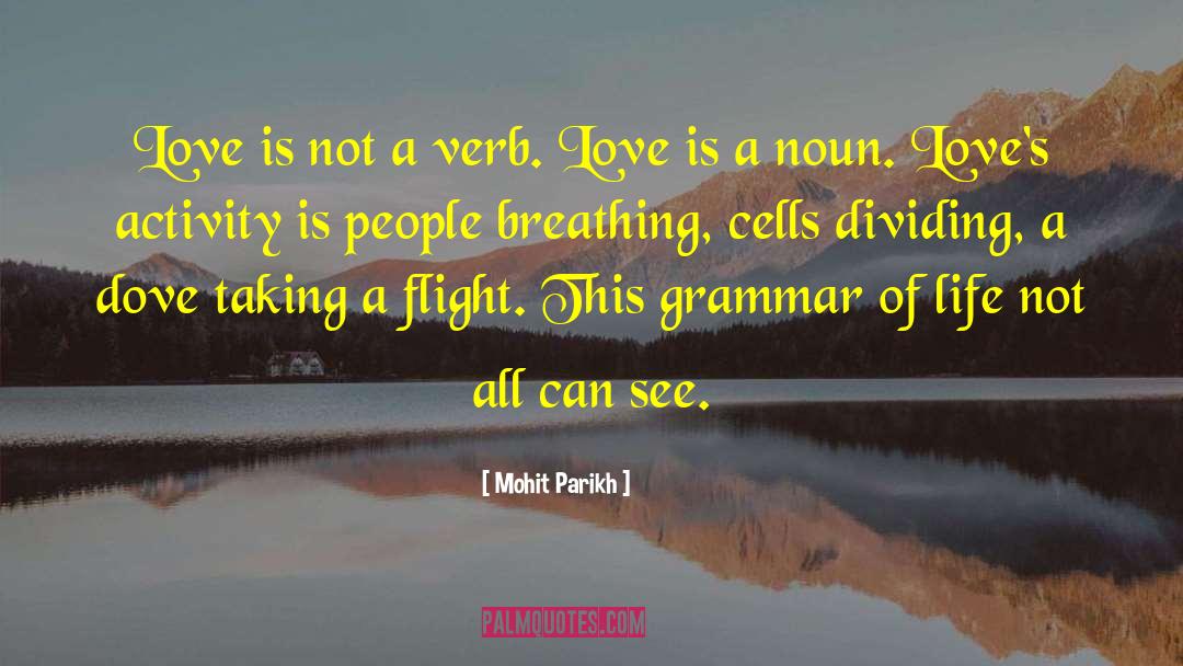 Mohit Parikh Quotes: Love is not a verb.