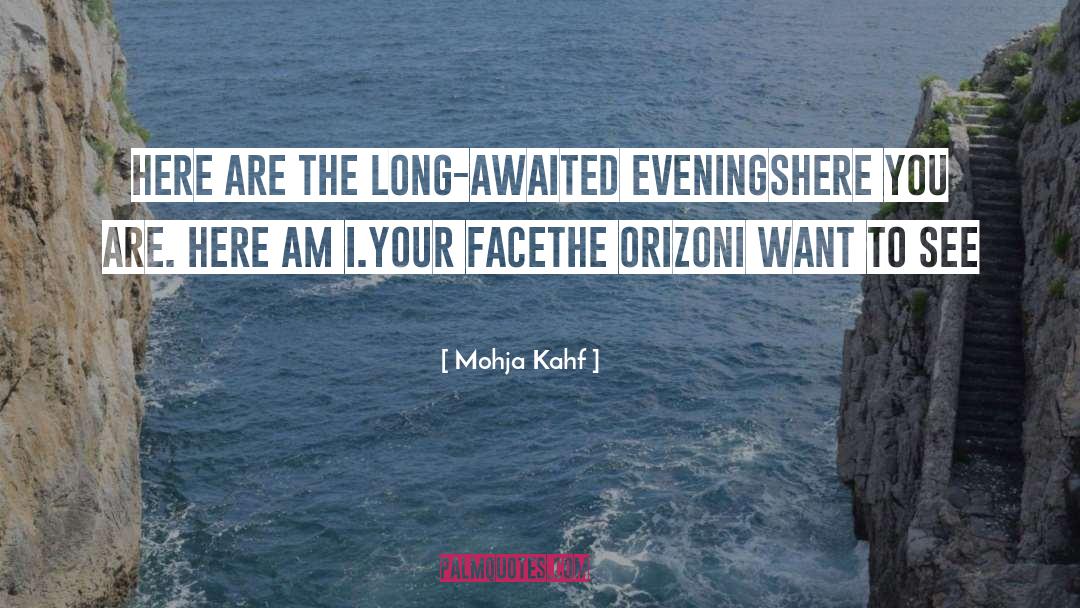 Mohja Kahf Quotes: Here are the long-awaited evenings<br