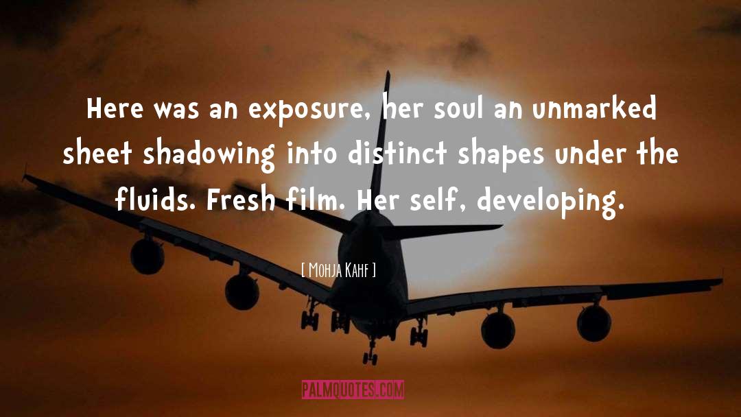 Mohja Kahf Quotes: Here was an exposure, her