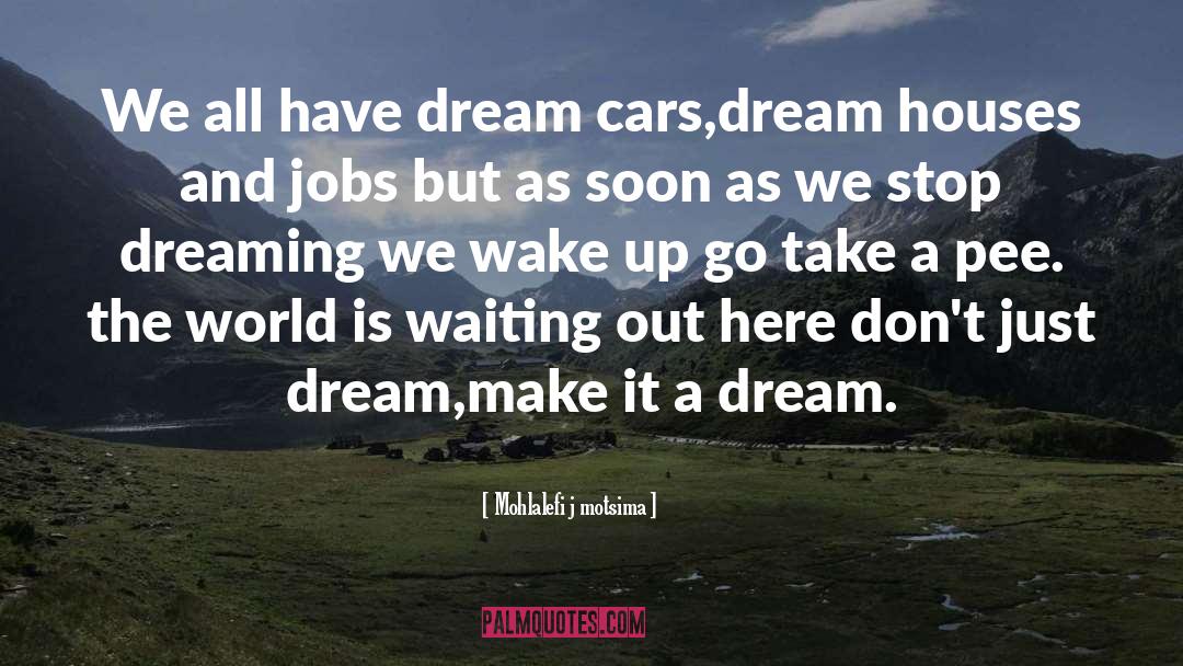 Mohlalefi J Motsima Quotes: We all have dream cars,dream