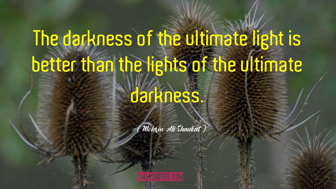 Mohsin Ali Shaukat Quotes: The darkness of the ultimate