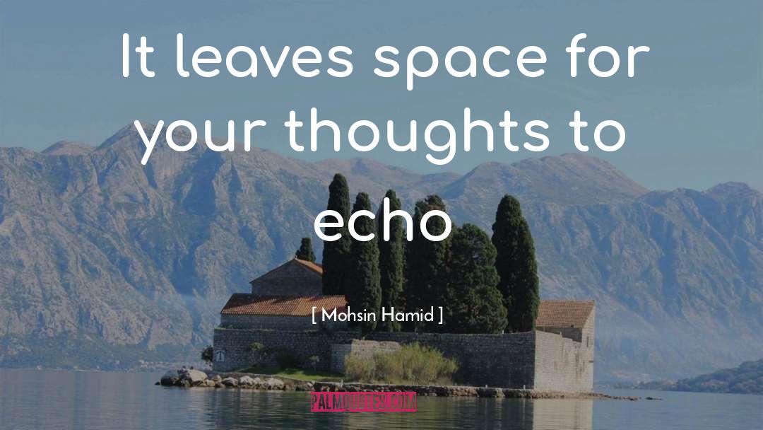 Mohsin Hamid Quotes: It leaves space for your