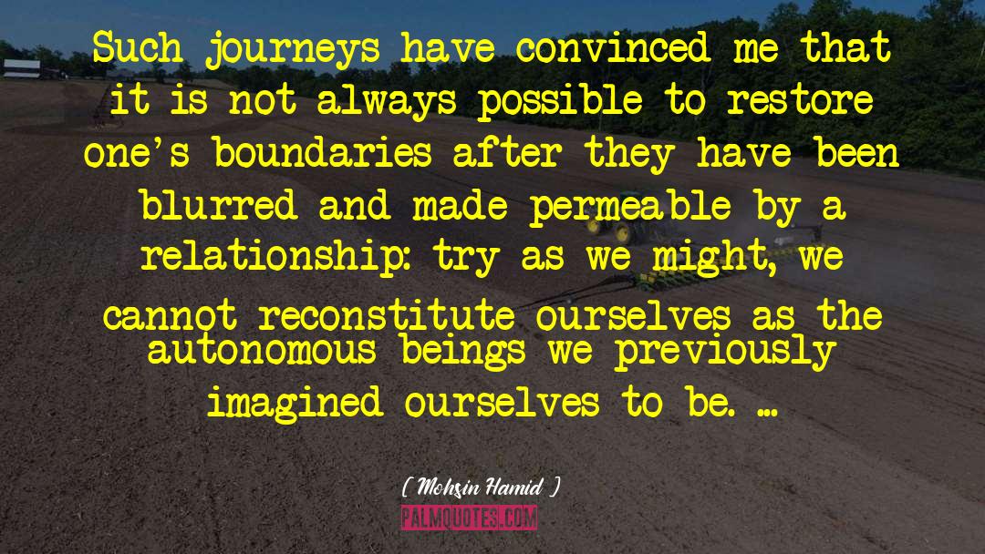 Mohsin Hamid Quotes: Such journeys have convinced me