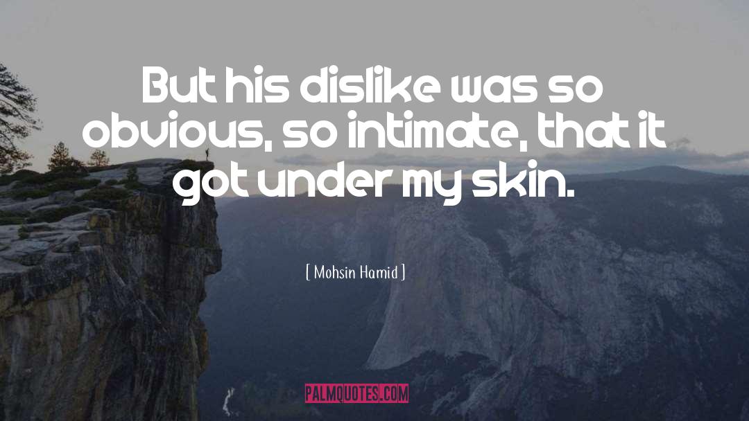 Mohsin Hamid Quotes: But his dislike was so