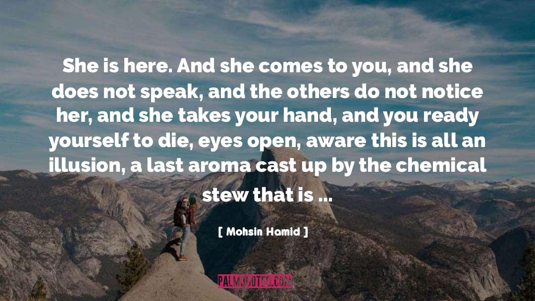 Mohsin Hamid Quotes: She is here. And she