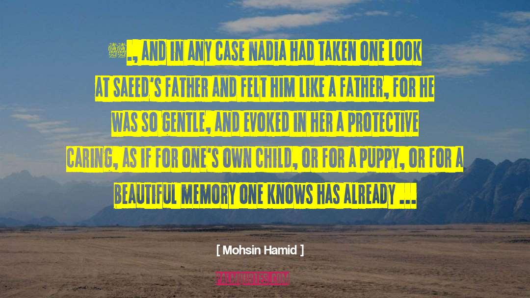 Mohsin Hamid Quotes: ……., and in any case