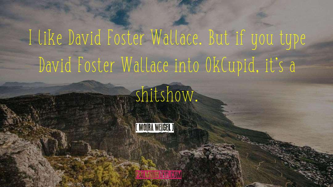 Moira Weigel Quotes: I like David Foster Wallace.