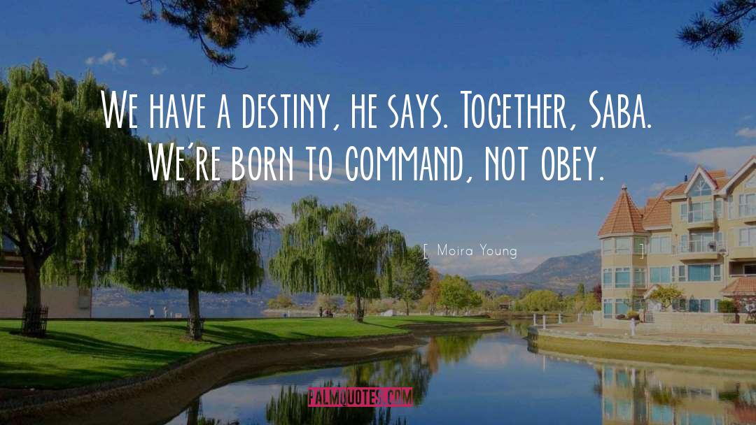 Moira Young Quotes: We have a destiny, he