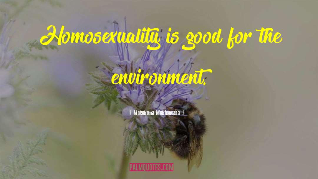 Mokokoma Mokhonoana Quotes: Homosexuality is good for the