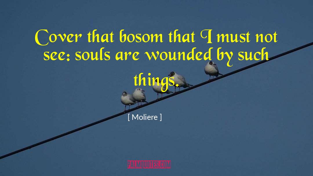 Moliere Quotes: Cover that bosom that I