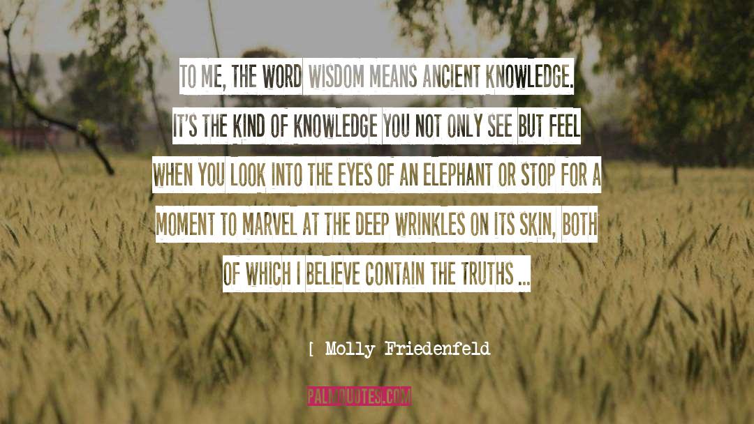 Molly Friedenfeld Quotes: To me, the word wisdom