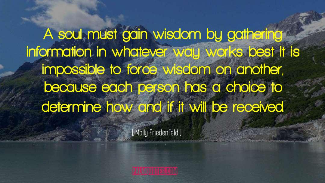 Molly Friedenfeld Quotes: A soul must gain wisdom