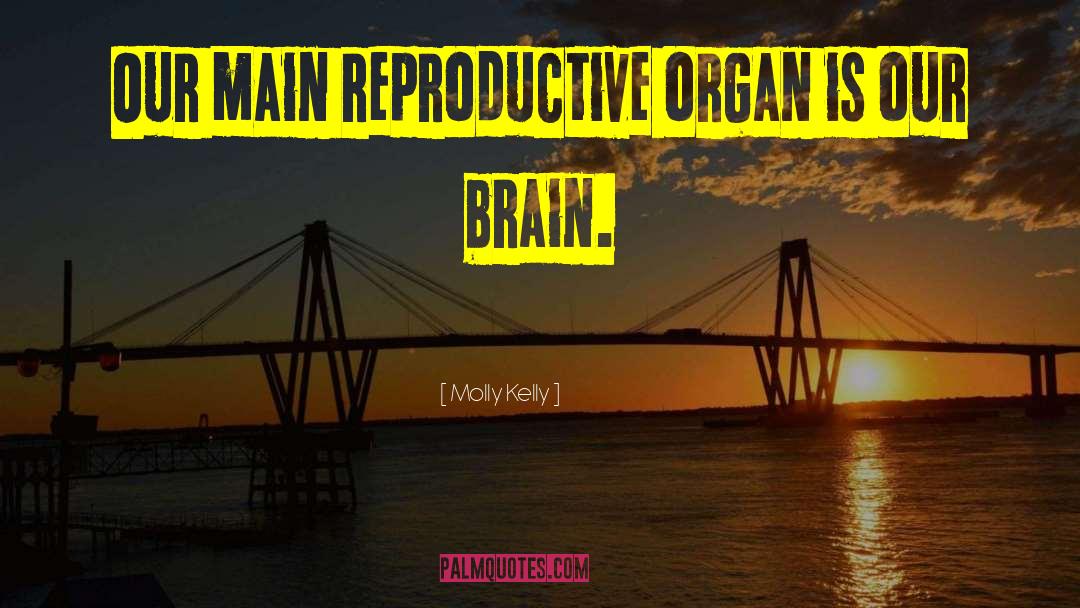 Molly Kelly Quotes: Our main reproductive organ is