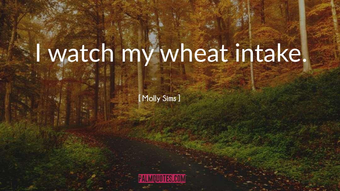 Molly Sims Quotes: I watch my wheat intake.