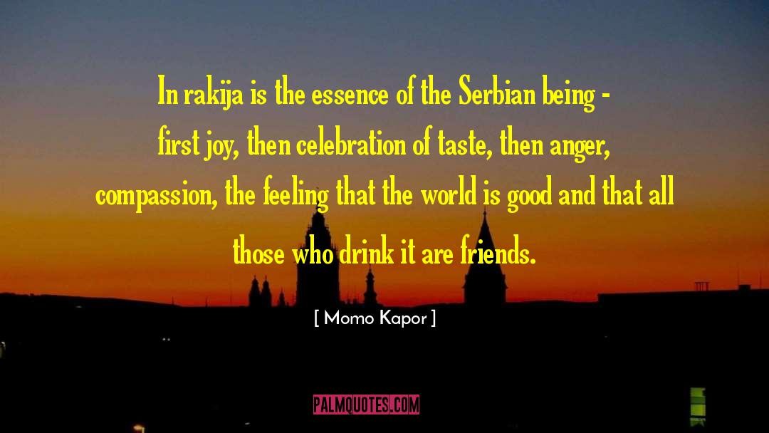 Momo Kapor Quotes: In rakija is the essence