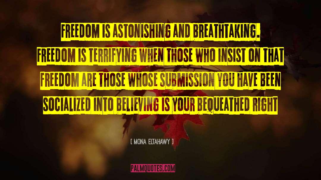 Mona Eltahawy Quotes: Freedom is astonishing and breathtaking.