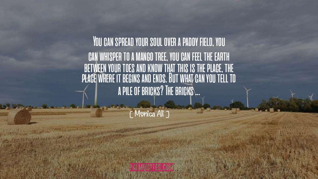 Monica Ali Quotes: You can spread your soul