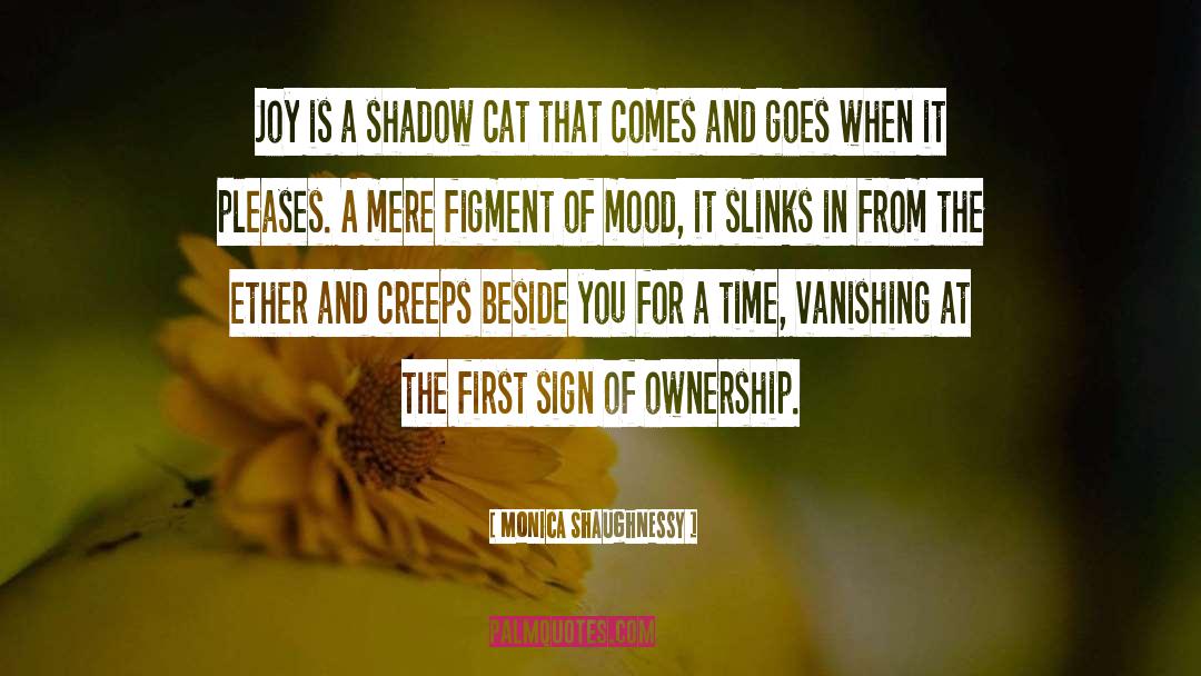 Monica Shaughnessy Quotes: Joy is a shadow cat