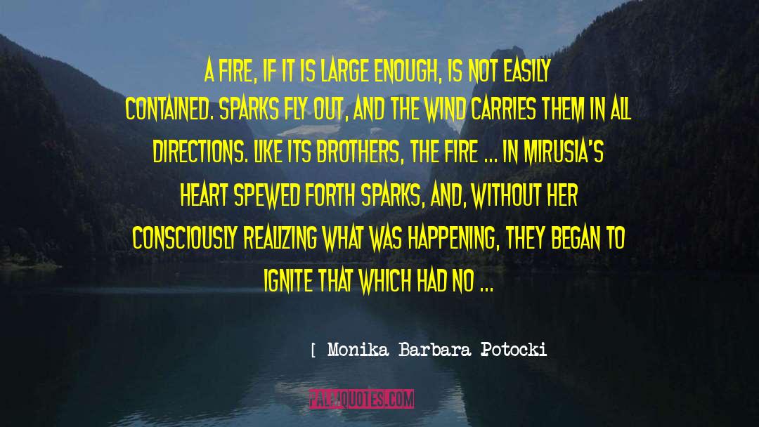 Monika Barbara Potocki Quotes: A fire, if it is