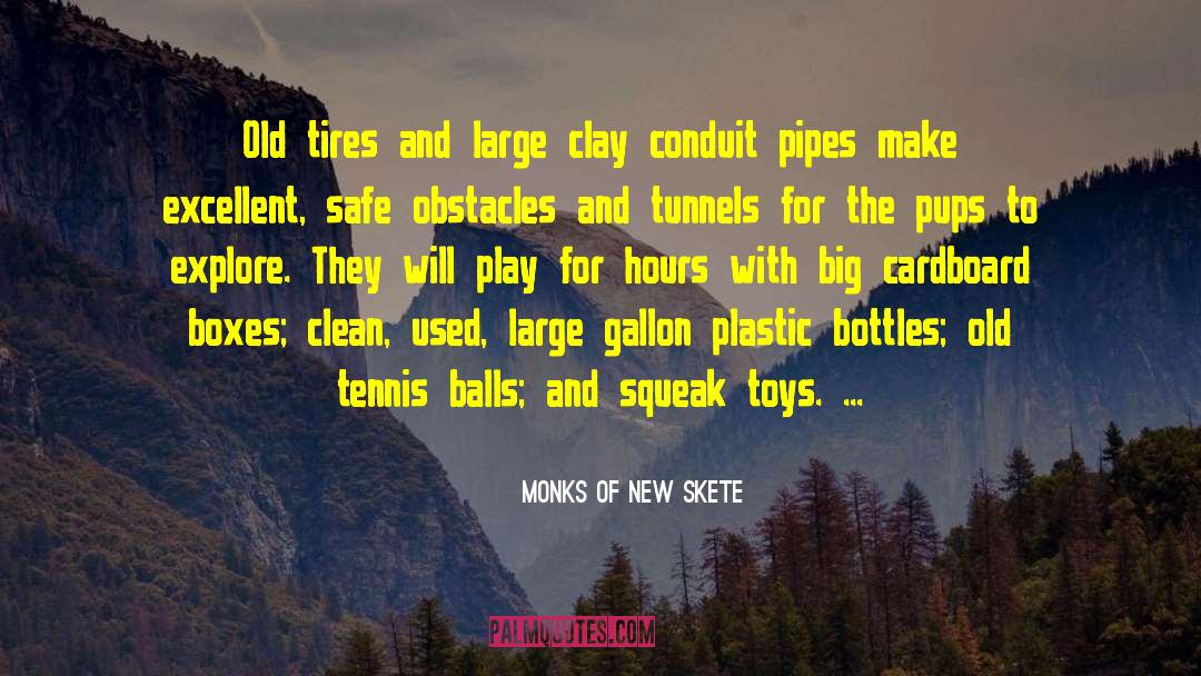 Monks Of New Skete Quotes: Old tires and large clay