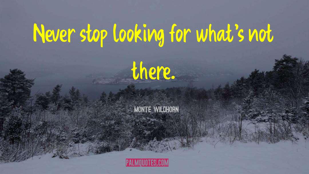 Monte Wildhorn Quotes: Never stop looking for what's