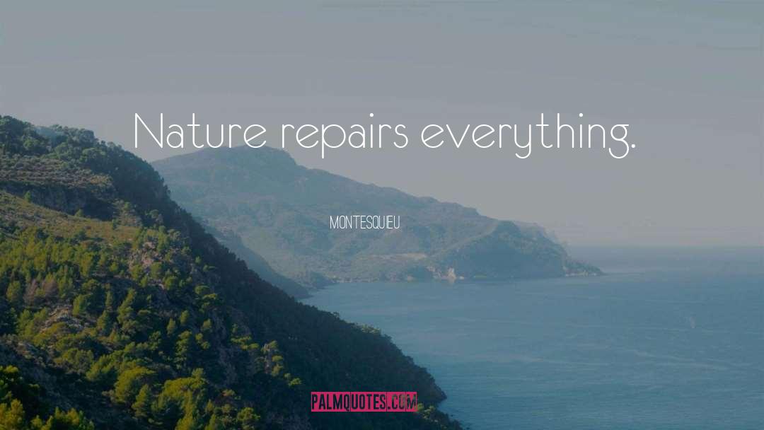 Montesquieu Quotes: Nature repairs everything.