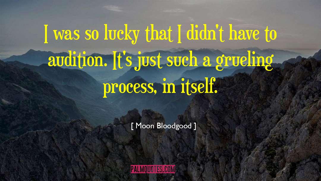 Moon Bloodgood Quotes: I was so lucky that