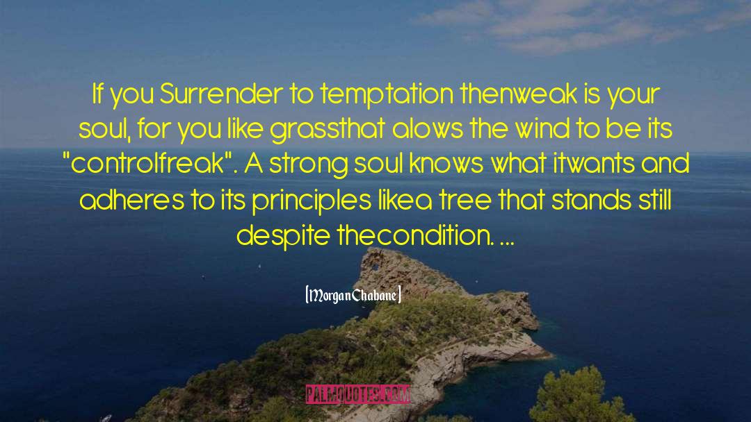 Morgan Chabane Quotes: If you Surrender to temptation